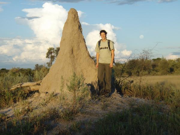 Termite mound bigger than I am