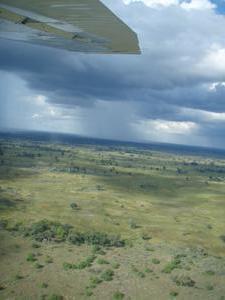 Okavango delta from the plane