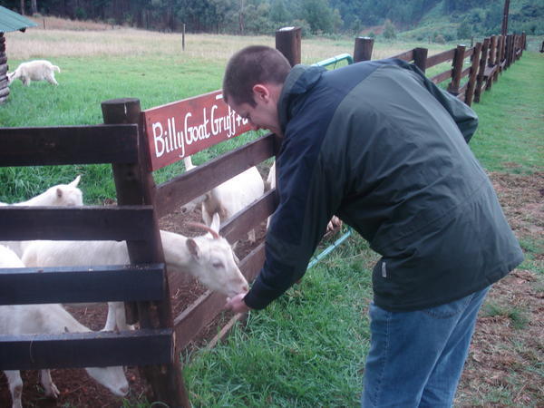 Paul feeding the goat