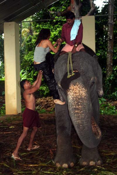 and you thought getting on an elephant was easy?
