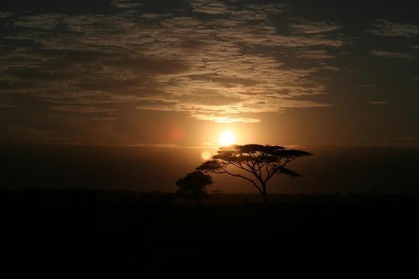 serengeti sun
