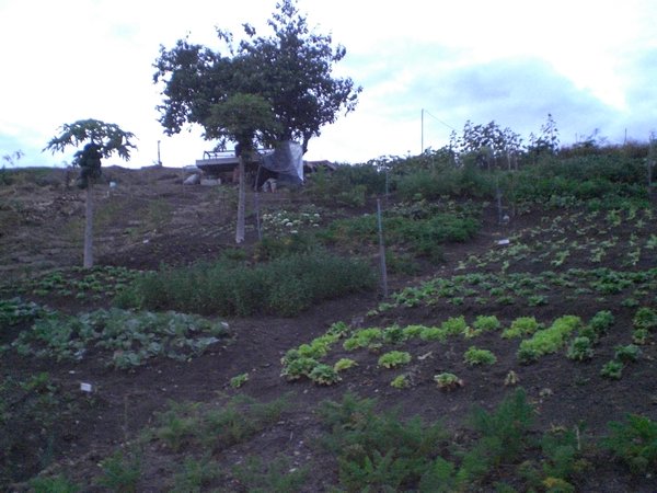 Biologische boerderij Vilcabamba