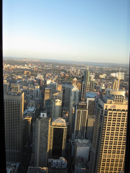 Sydney Tower View