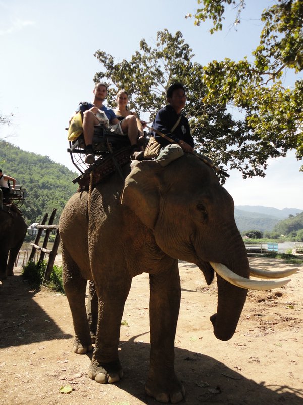 Riding the Elephant at Karen Hill Tribe