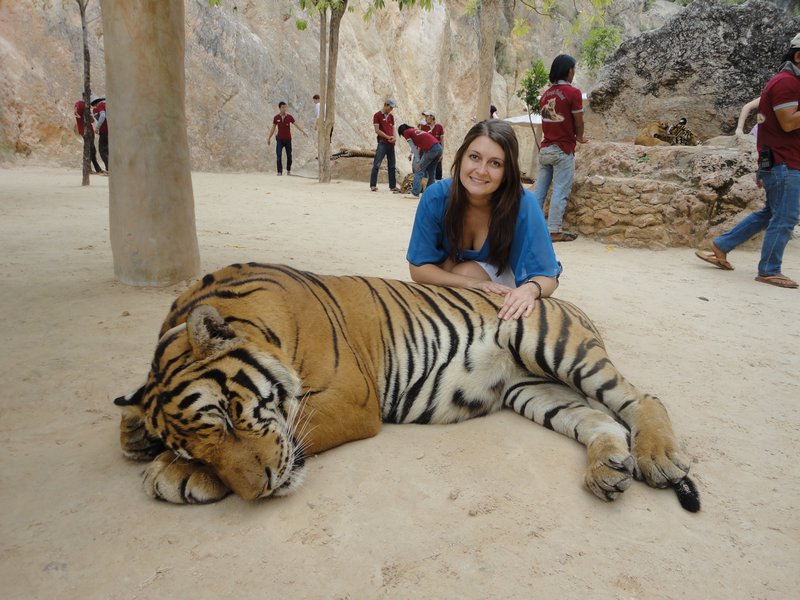 Jo stroking huge Tiger!