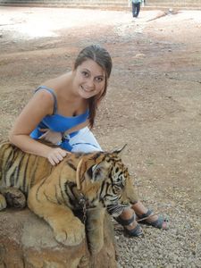 Cuddling a Tiger cub!