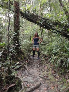 Trekking in the Kinabalu national park, complete with Leech socks!
