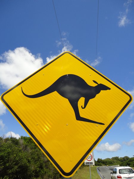 Watch for Roos