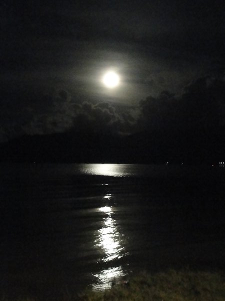 Moonlight in Cairns