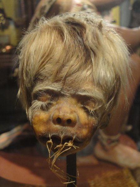 Shrunken child's head at Ripleys!