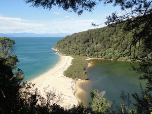 Beautiful Abel Tasman beach