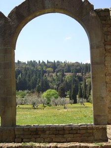fiesole arch2
