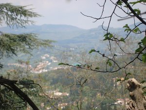 fiesole view from ruins
