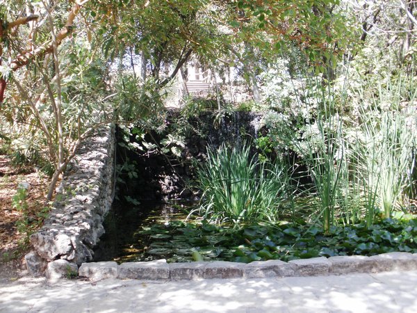 Garden Pool 