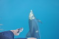 Delfiny były blisko na wyciągnięcie nogi :)