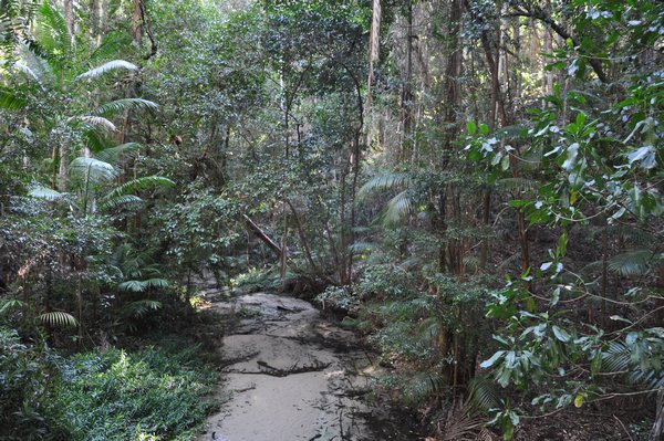 Wanggoolba Creek