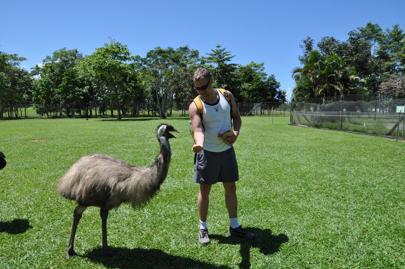 Emu je Miśkowi z ręki...