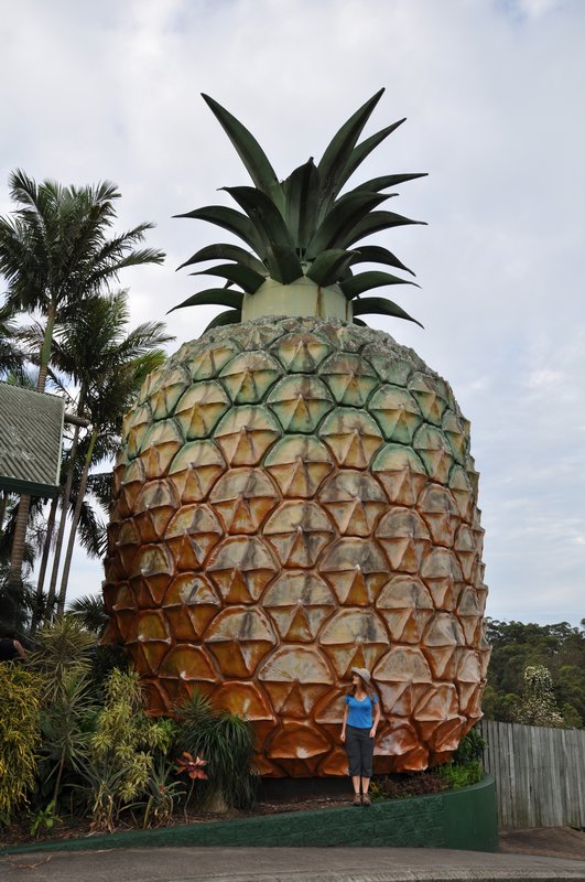 Wielki Ananas