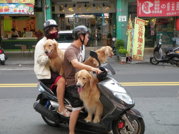 scooters in Taiwan... transportation for the whole family