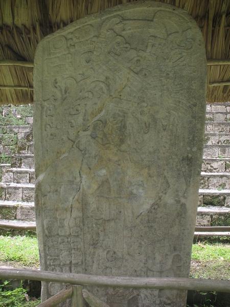 The Stelae of El Ceibal (6)