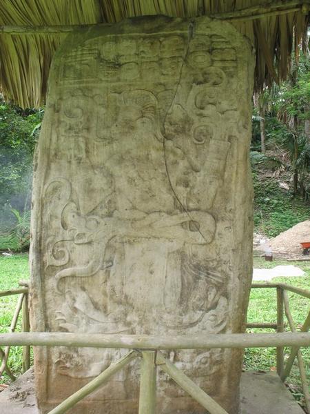 The Stelae of El Ceibal (7)