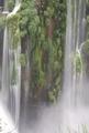 Falling Water and Moss