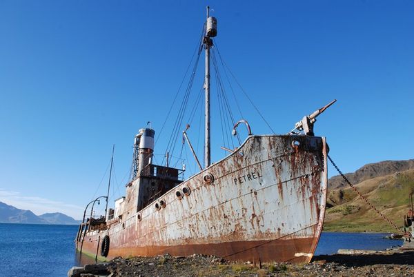 A shipwrecked Whaler