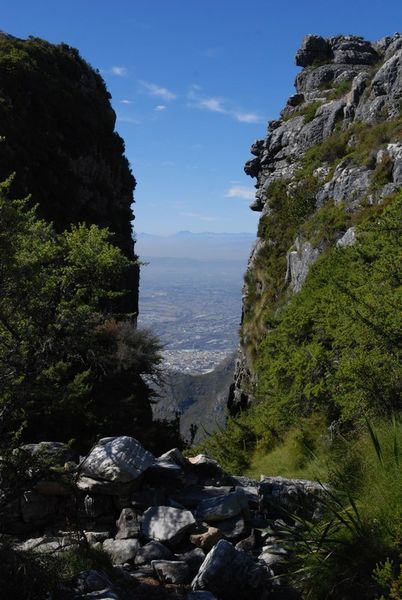 On Table Mountain (3)