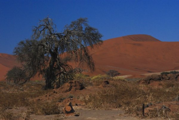 The Namib Desert Landcape