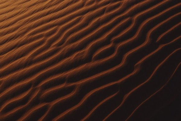 On Elim Dune (3)