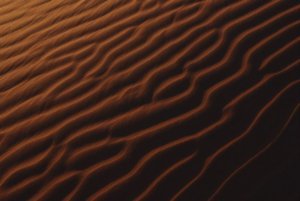 On Elim Dune (3)