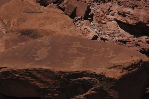 The Amazing Bushman Rock Art