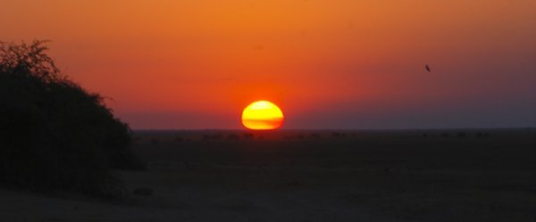 A Perfect African Sunset