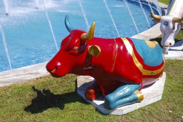 A Red Cow