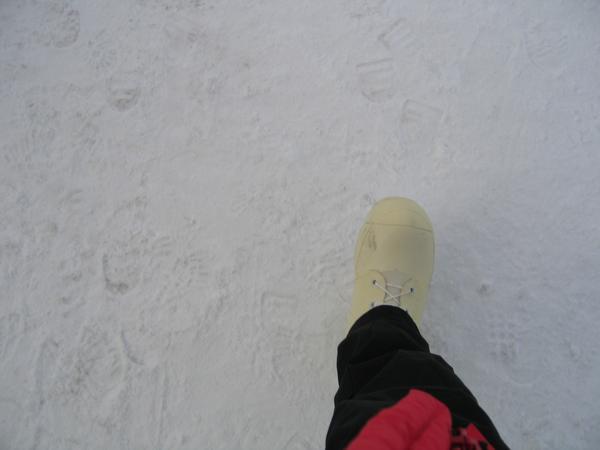 My First Step on Antarctica