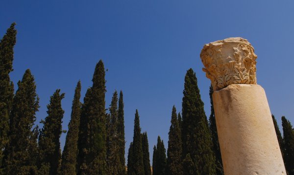 Columns and Cypresses 