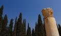 Columns and Cypresses 