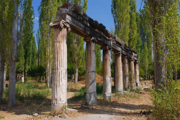 Colonnades in the Trees (2)