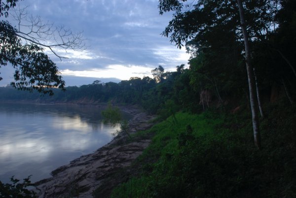 Early Morning on the Tambopata
