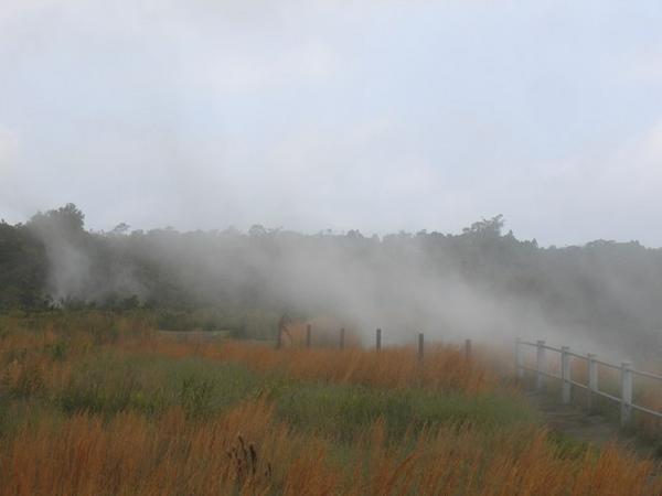 Steam From the Crater