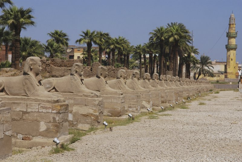A Sphinx Lined Avenue