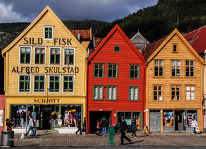 Exploring the Bryggen Waterfront 6