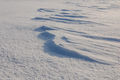 Ripples in the Snow - Nordaustlandet 