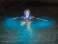 Swimming in the Bioluminescent Bay 