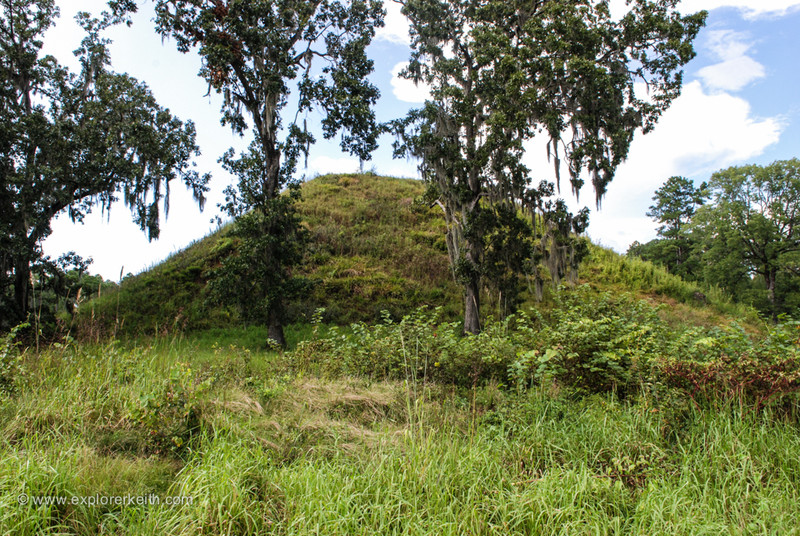 Kolomoki Mounds 3