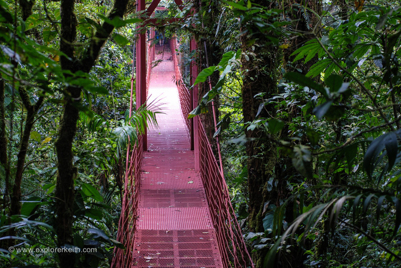 Exploring Monteverde Cloud Forest 5