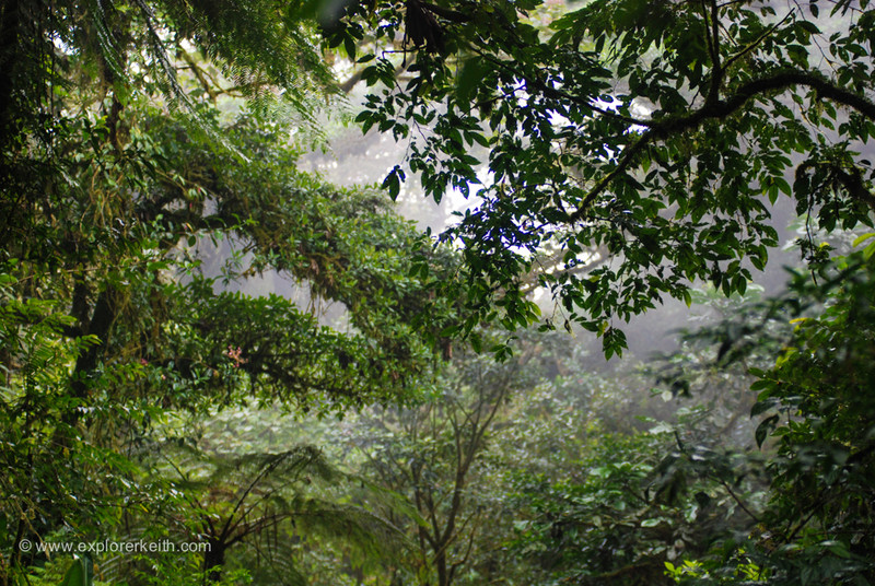 Exploring Monteverde Cloud Forest 6