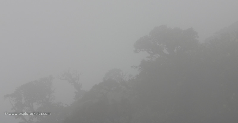 Exploring Monteverde Cloud Forest 7