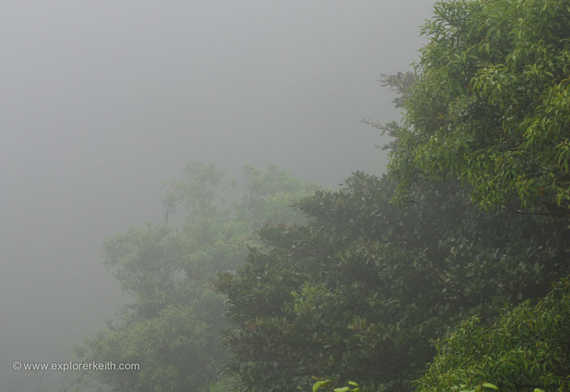 Exploring Monteverde Cloud Forest 8