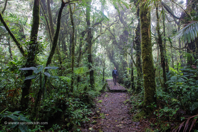 Exploring Monteverde Cloud Forest 10
